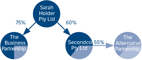 Diagram to illustrate the relationship between Sarah Holder Pty Ltd and other companies