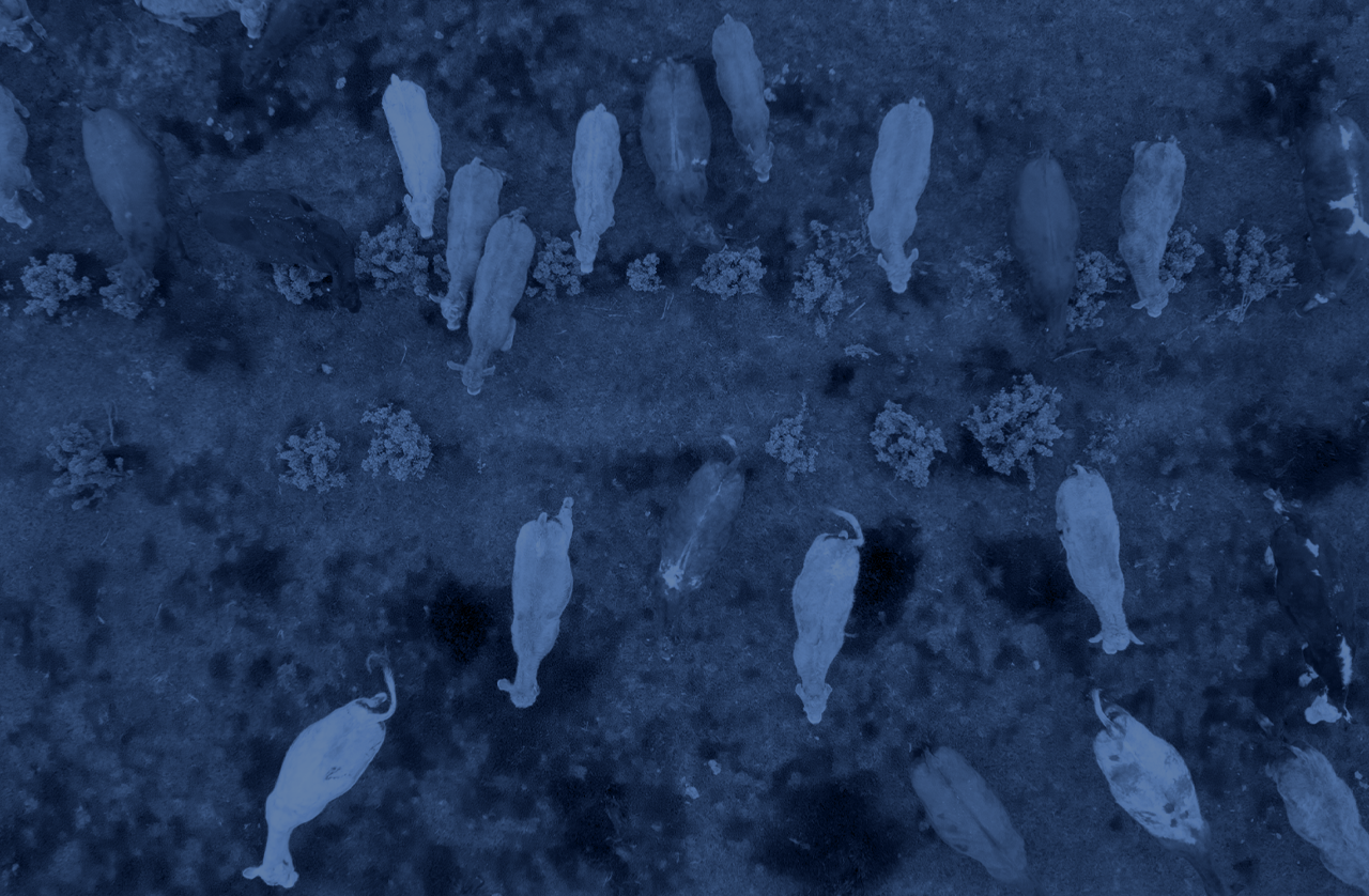 Intro Image